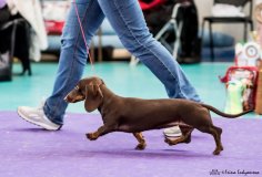 29744915_10211468518168987_1827375949637529485_o