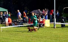 14138168_10207141291351021_8994541712475252146_o