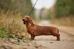 7kuopOckRoo