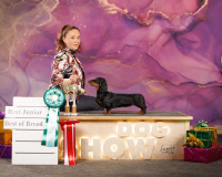 1pVrWSutv4k