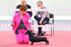 16143106_10208332251764287_4141557092379004769_n
