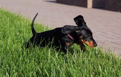 IMG_1058