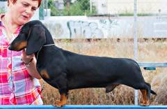41863886_10212545790420120_1288884720200843264_o