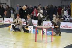 10392402_10203484048642239_6844711994842270020_n