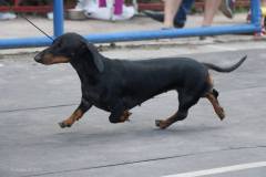 10383882_10202453077028593_5887551226174678062_n