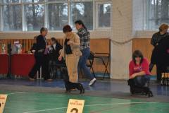 1545009_10201414696149720_909026625_n