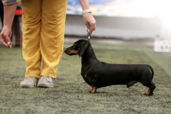 298835282_10221126193484834_6771920409300846432_n