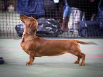 PB210437-1